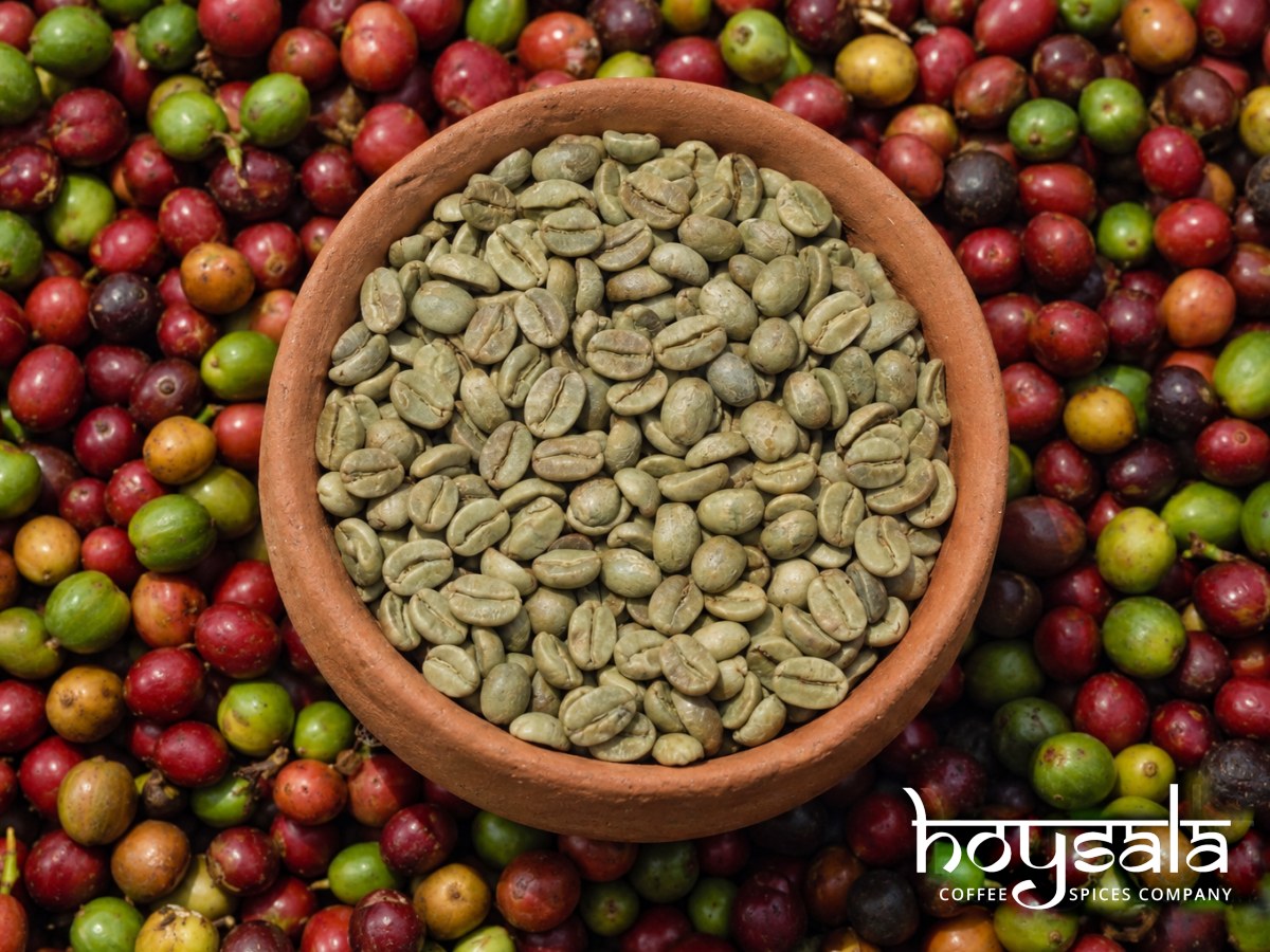 Athi 9.1 Conventional — Washed Arabica