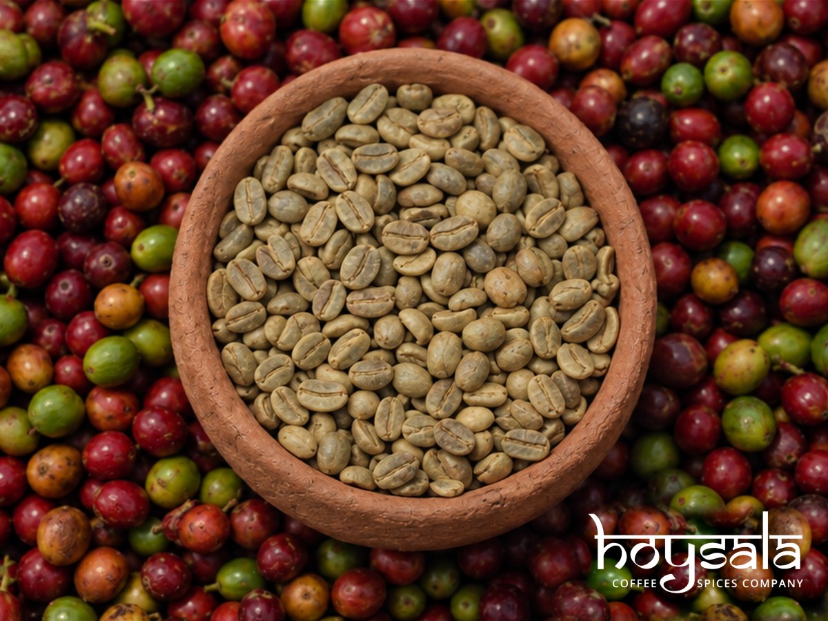 Bodhi — Monsooned Coffee
