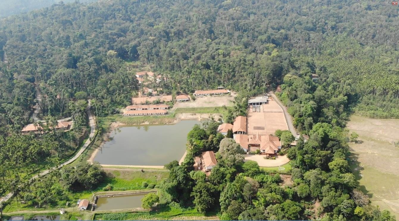 The estate from above, blocks under canopy