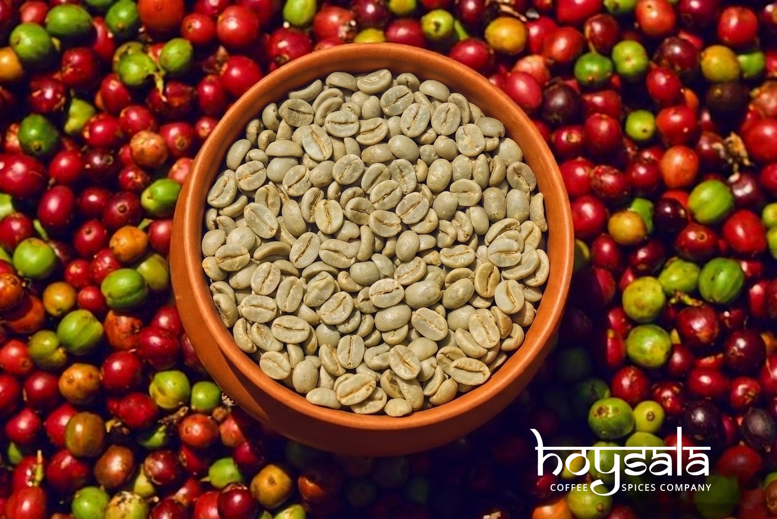 Nerle — Arabica