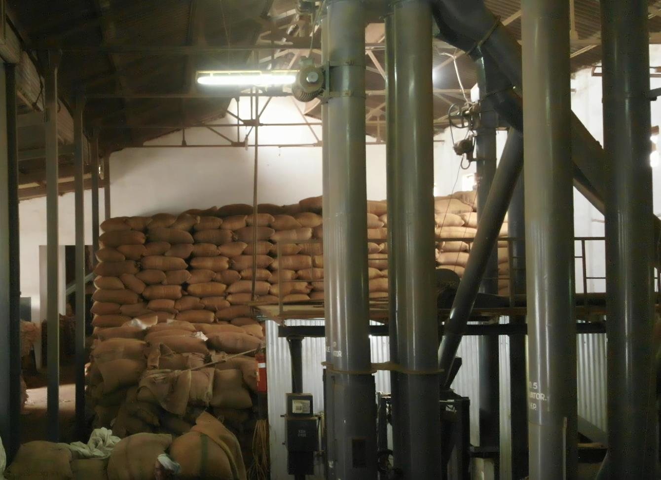 Rested in Storage — Drying and storage