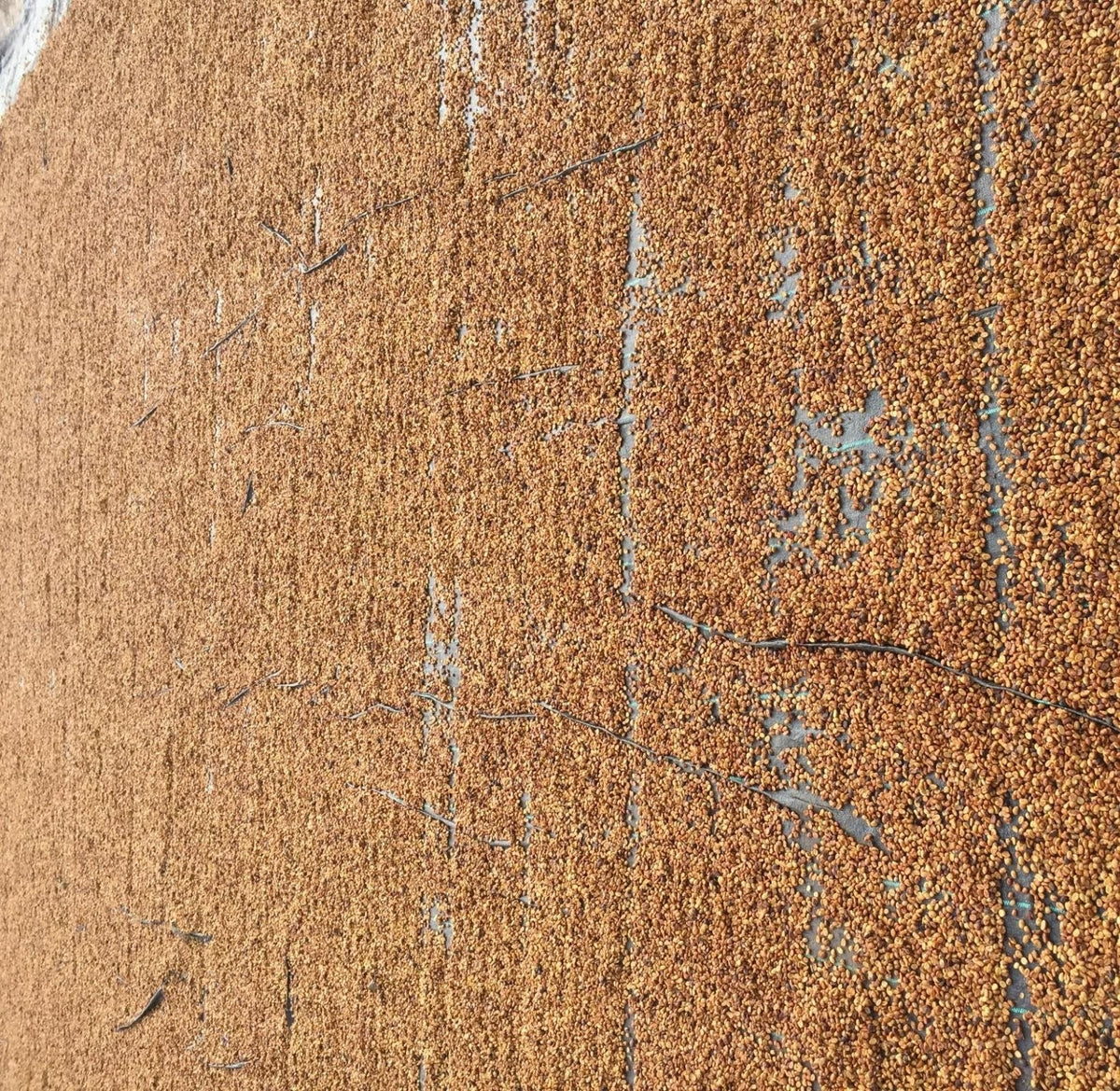 Drying in thin layers on tile