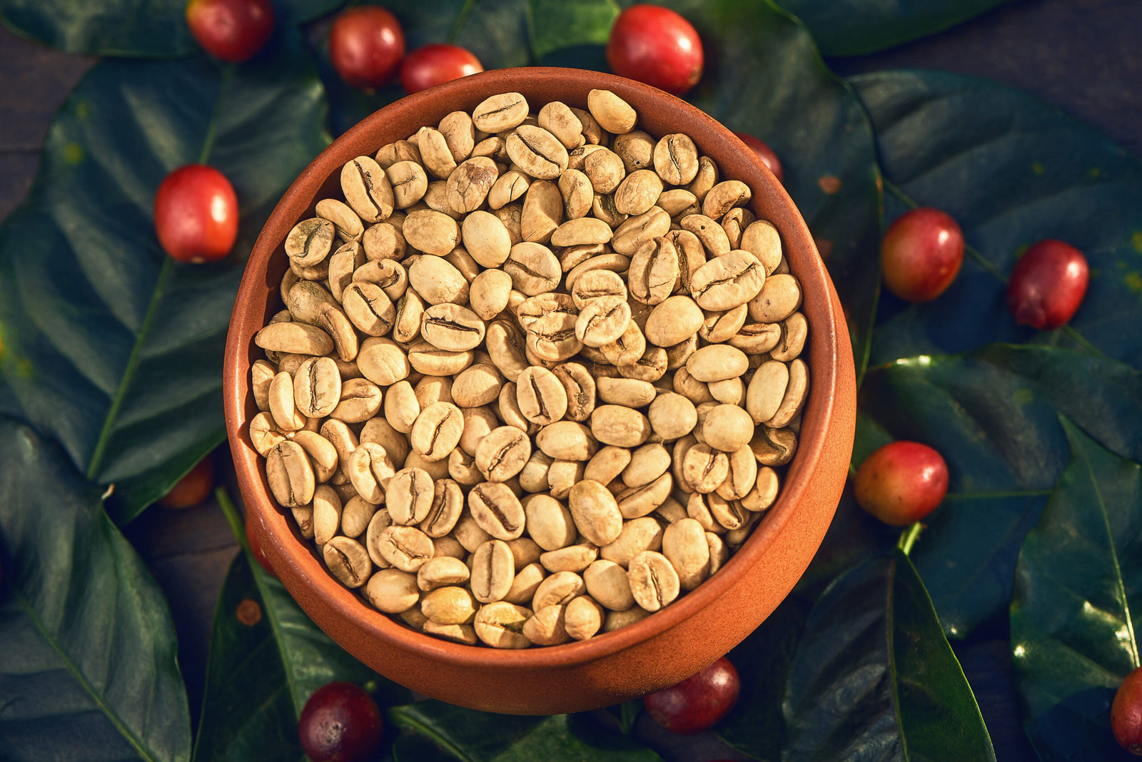 Nandi, monsooned robusta