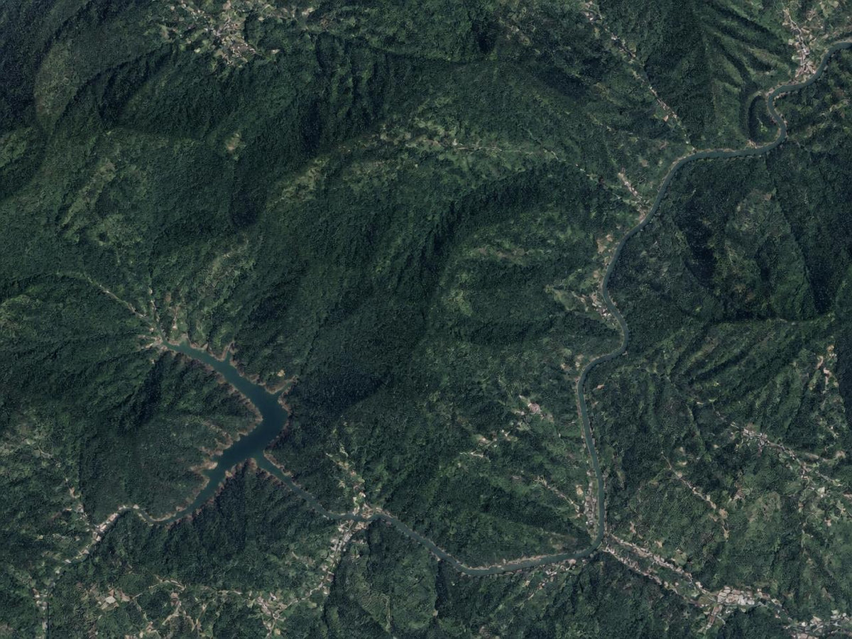 Chikmagalur, in the Western Ghats of Karnataka