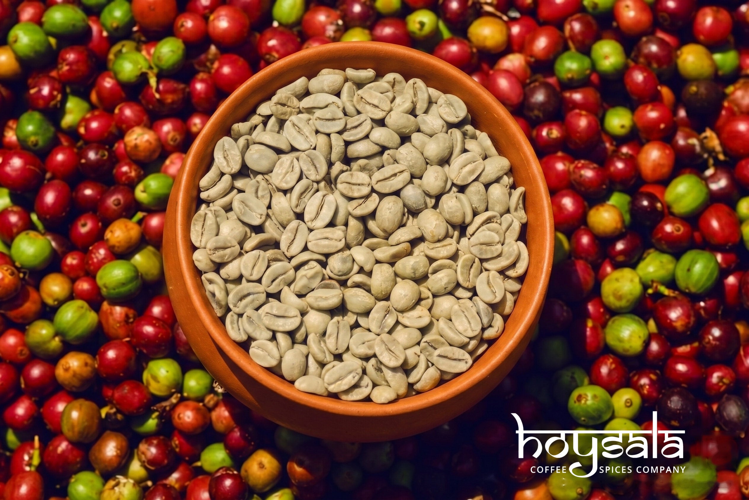 Athi — Arabica