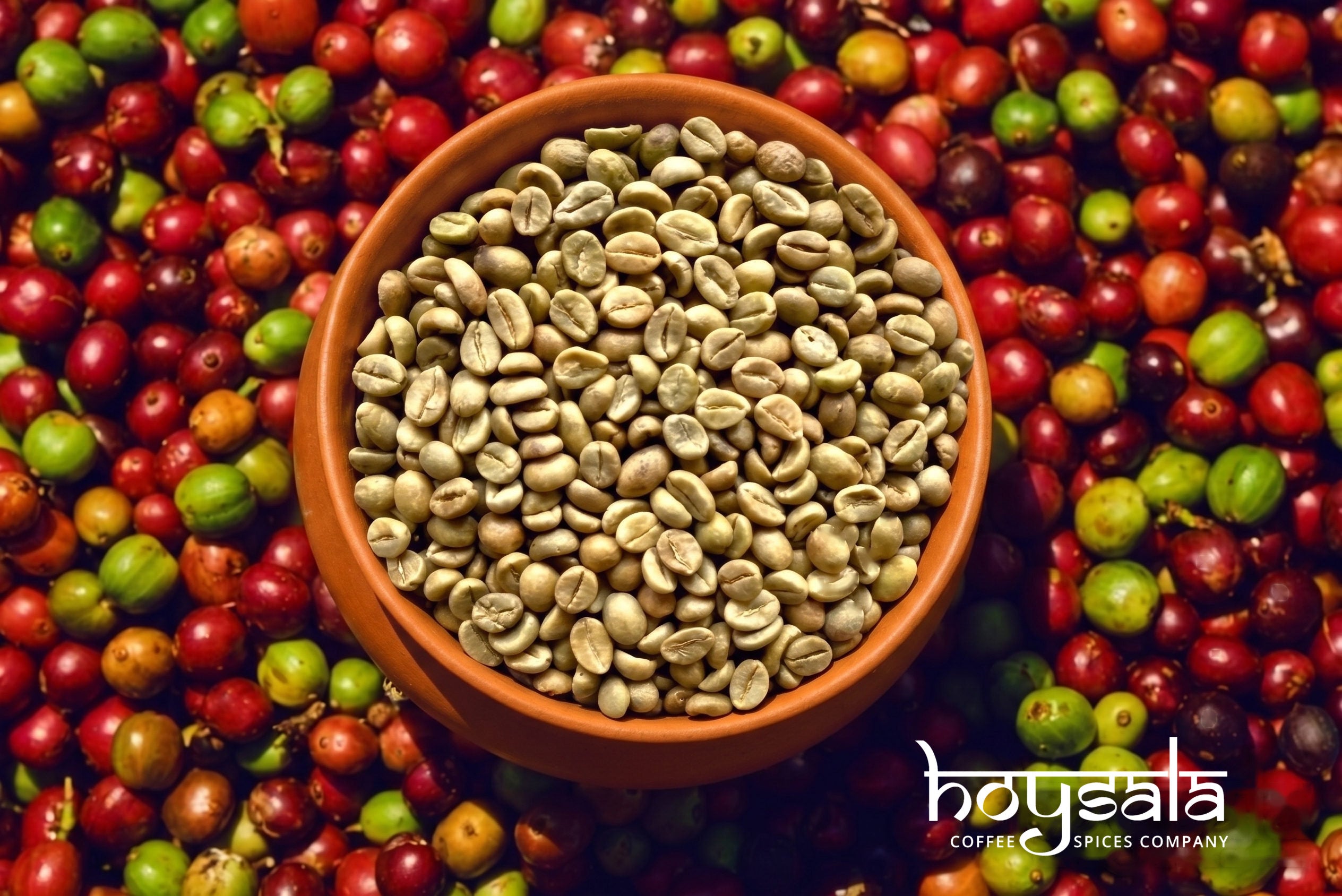 Basri — Robusta
