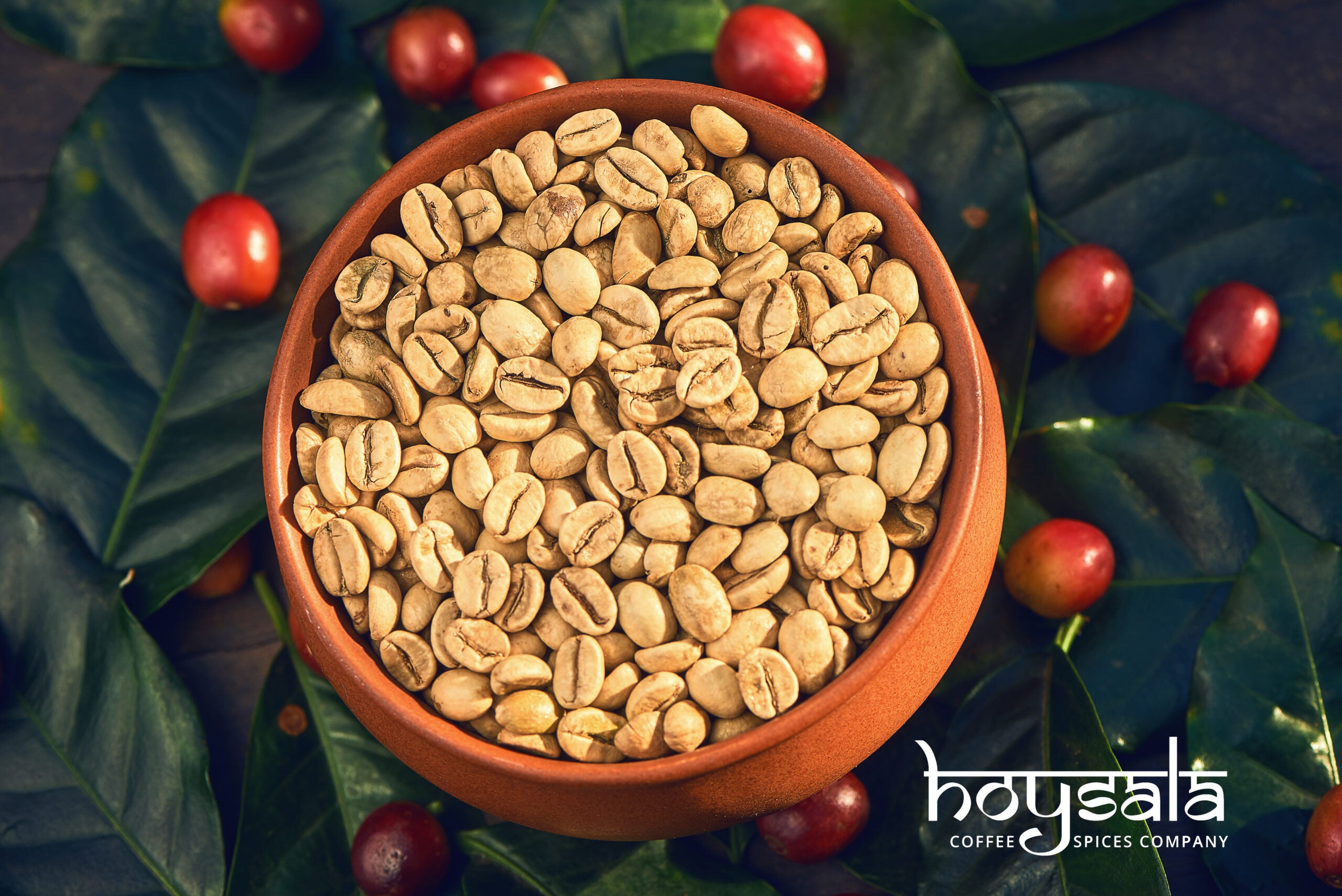 Bodhi — Monsooned Coffee