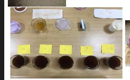 Coffee cupping session with scored samples on the table