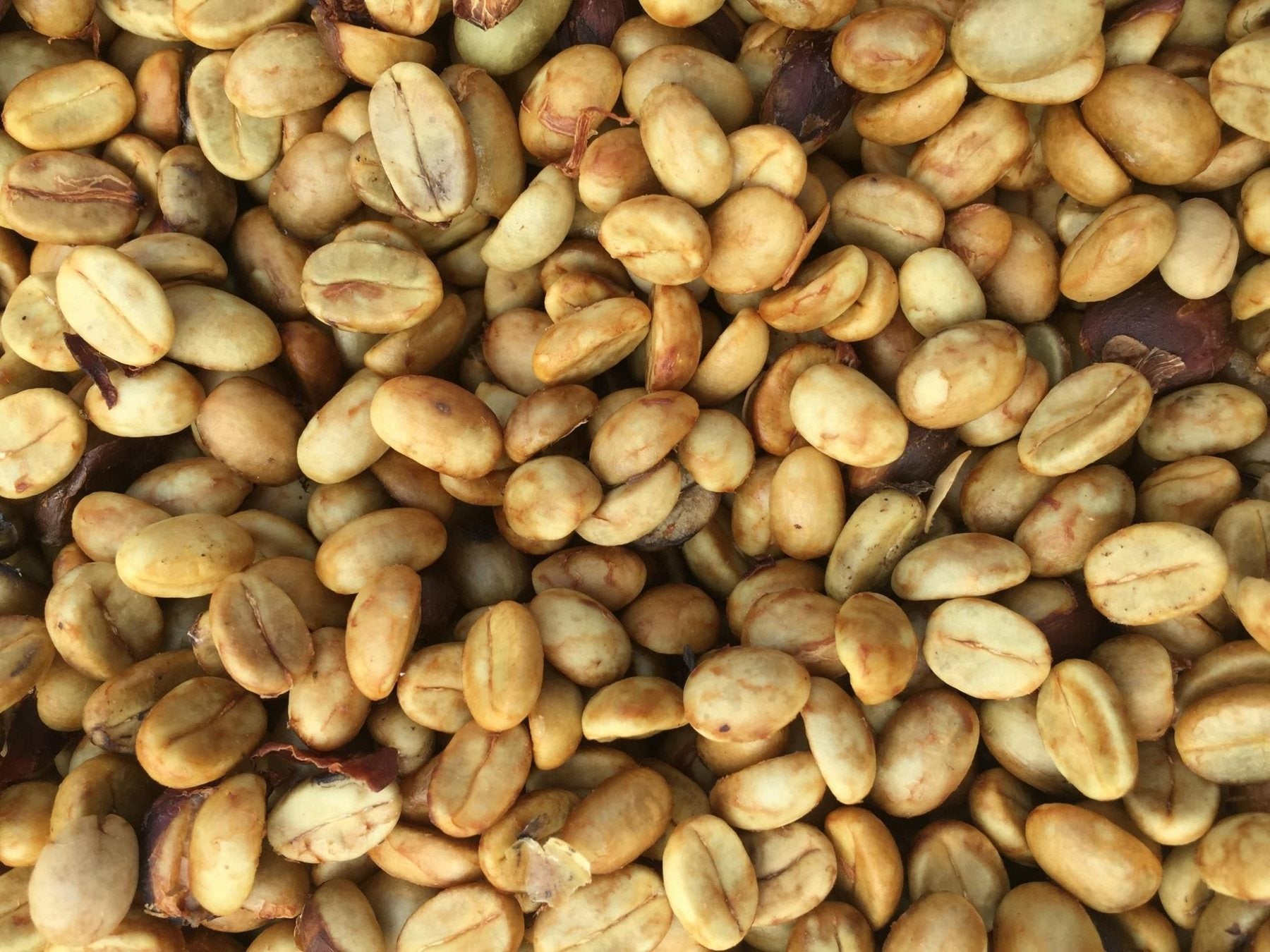Honey process green coffee beans