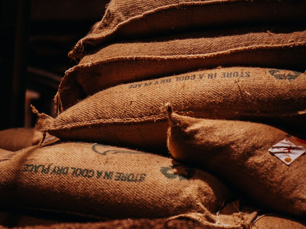 Rested in Storage — Drying and storage
